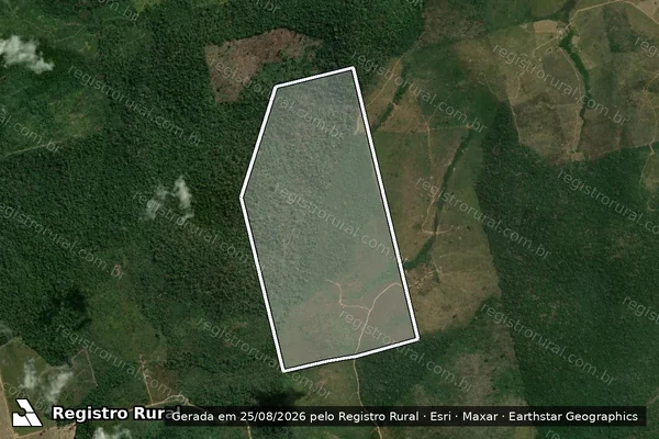 Imagem de satélite de FAZENDA ONÇA PINTADA – GLEBA ARURI 2-T