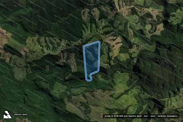 Imagem de satélite de Sítio - Cavinha em Reserva - PR