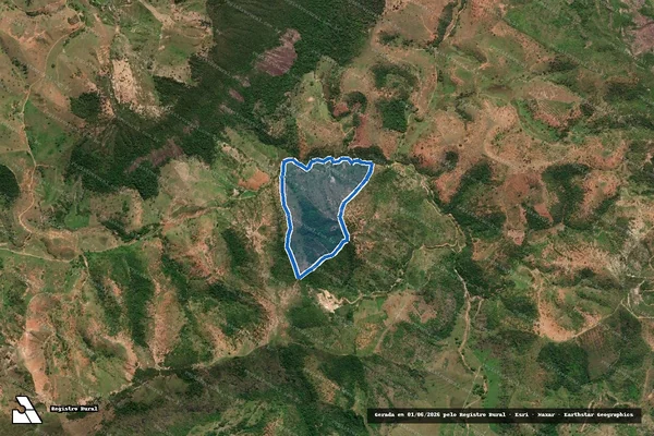Imagem de satélite de SITIO PAU DALHO - ST PAU DALHO em Conselheiro Pena - MG