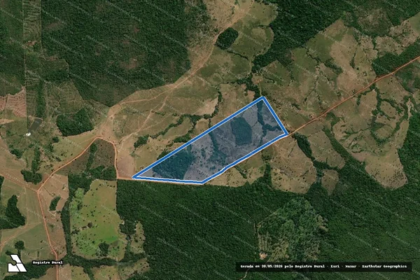 Imagem de satélite de LOTE 02 - GLEBA 07 - GLEBA CORUMBIARA - SETOR BARÃO DE MELGAÇO - Parte 1 em Pimenta Bueno - RO