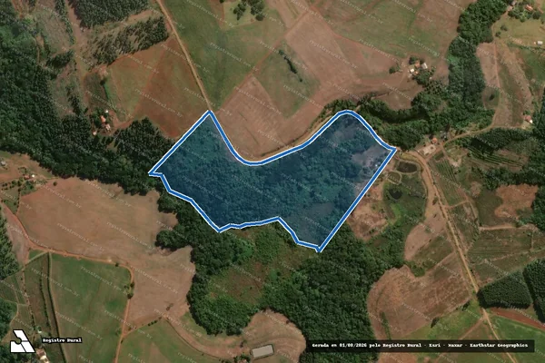 Imagem de satélite de RESERVA LEGAL 07 ? PA CARLOS LAMARCA - RESERVA LEGAL 07 em Congonhinhas - PR