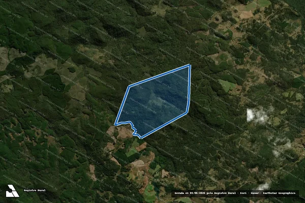 Imagem de satélite de Fazenda Santo Antônio do Iratim - Única em General Carneiro - PR