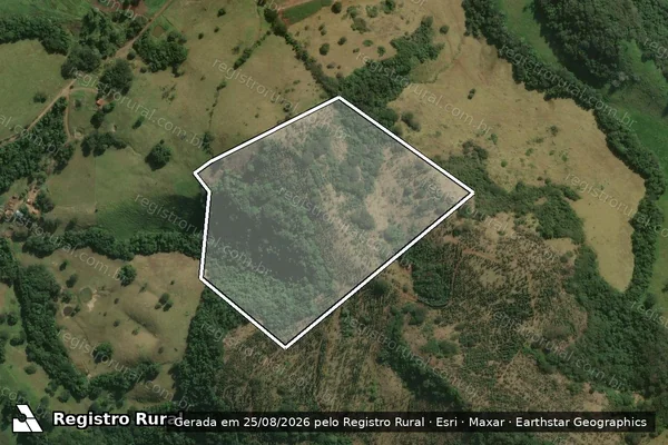 Imagem de satélite de FAZENDA SANTA INES - Matrícula 5178 em Curiúva - PR