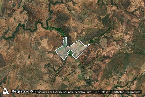 Imagem de satélite de Fazenda Araras / Lagoa 1 - Parcela 1 em Luislândia - MG