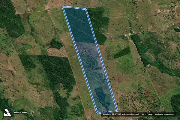 Imagem de satélite de PA ANGICAL_LOTE 54 - LOTE 54 em Palestina do Pará - PA