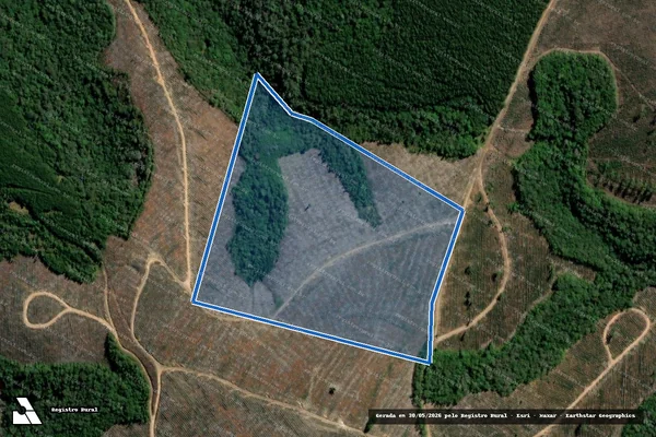 Imagem de satélite de Fazenda São Nicolau em Arapoti - PR
