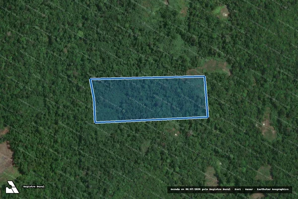 Imagem de satélite de PARCELAS GLEBA UAUPÉS - LOTE 405 em São Gabriel da Cachoeira - AM