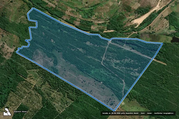 Imagem de satélite de FAZENDA SAPUCAIA ? L-118 - FAZENDA SAPUCAIA ? L-118 em Buriti do Tocantins - TO