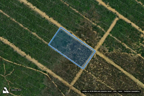 Imagem de satélite de FAZENDA MARIA INÁCIA - GLEBA_247 em Maracás - BA