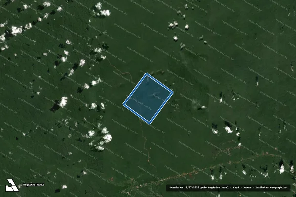 Imagem de satélite de LOTE 35 - Parte 1 em Silves - AM