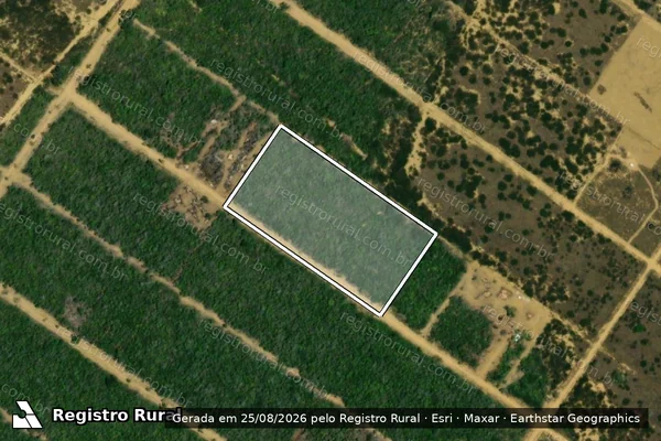 Imagem de satélite de FAZENDA MARIA INÁCIA - GLEBA_124 em Maracás - BA