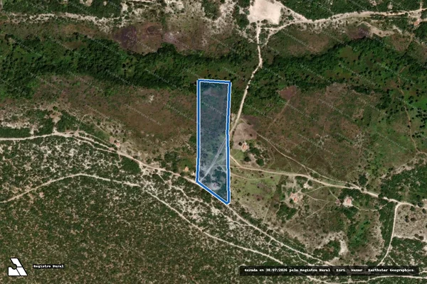 Imagem de satélite de Fazenda Flores / Parte 1