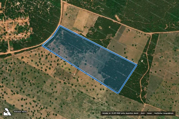 Imagem de satélite de PROJETO DE ASSENTAMENTO PETROLINA ? LOTE 08 - Parte 1 em Caraúbas - RN