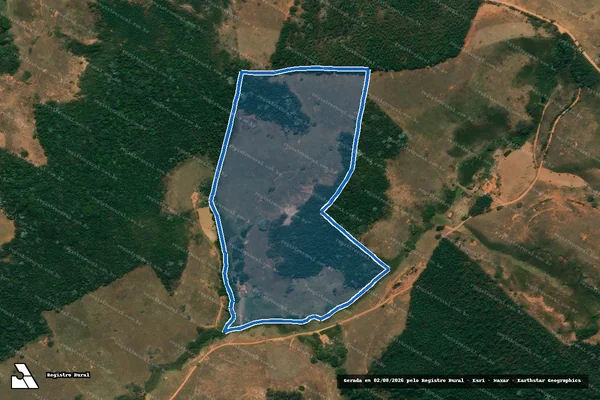 Imagem de satélite de Flores - Parte 1 em Senador Firmino - MG