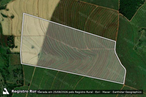 Imagem de satélite de Fazenda Santo Antonio - Parcela 1 em Boracéia - SP