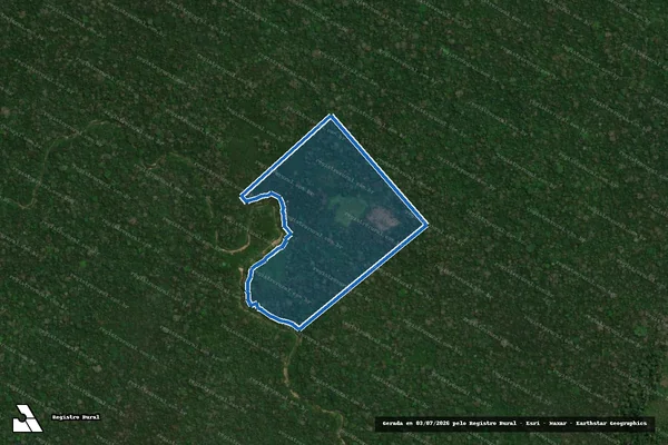Imagem de satélite de Seringal Porto Mamuriá - Parte 6 em Santa Rosa do Purus - AC
