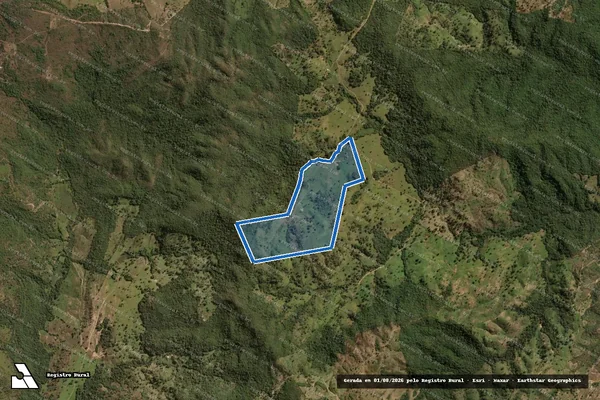 Imagem de satélite de Córrego Feio - 001 em Rubiataba - GO