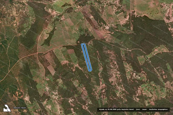 Imagem de satélite de FAZENDA INHUMAS BORBOLETA - Parte 1 em Miravânia - MG
