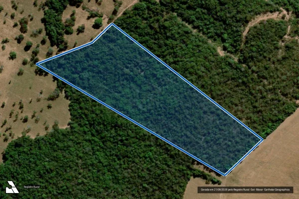 Imagem de satélite de FAZENDA SANTA RITA - Parte 25 em Orizona - GO