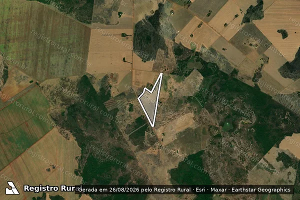 Imagem de satélite de Lote 19 - Projeto de Assentamento Jenipapo - GLEBA 02 em Acreúna - GO
