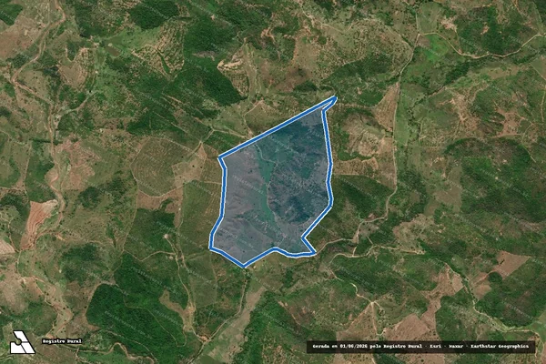 Imagem de satélite de FAZENDA VARGINHA - FAZ VARGINHA em Goiabeira - MG