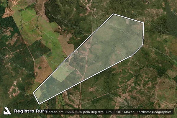 Imagem de satélite de FAZENDA CALINA - Parcela 1 em São Raimundo das Mangabeiras - MA