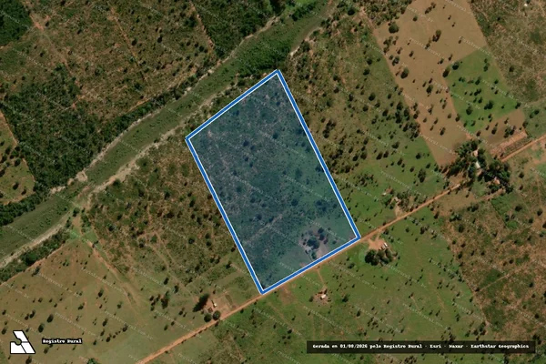 Imagem de satélite de Projeto de Assentamento Avaré - Lote 246 em Santa Rita do Pardo - MS