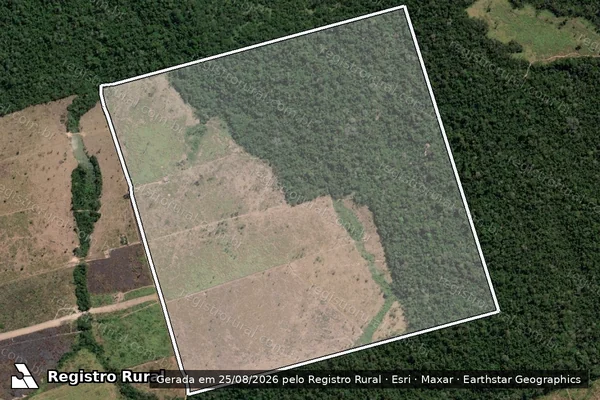 Imagem de satélite de FAZENDA  BOA SORTE - Parte 02 em Novo Progresso - PA