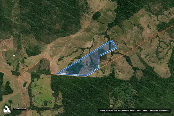 Imagem de satélite de LOTE 02-R - GLEBA 07 - GLEBA CORUMBIARA - SETOR BARÃO DE MELGAÇO - Parte 1 em Pimenta Bueno - RO