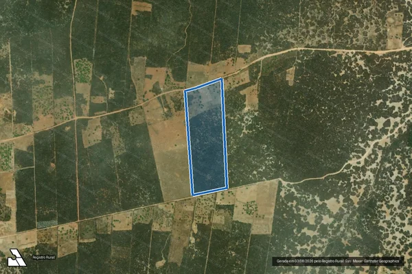 Imagem de satélite de PROJETO DE ASSENTAMENTO ESPERANÇA ? LOTE 16 - Parte 1 em Upanema - RN