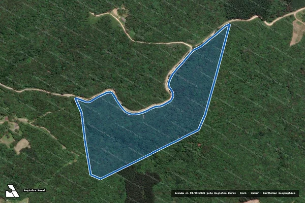 Imagem de satélite de LOTE RURAL - LOTE 03 em Campo Largo - PR
