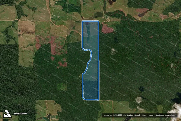 Imagem de satélite de LOTE 11 - GLEBA 29 - P.A.D. BURAREIRO - Parte 3 em Cacaulândia - RO