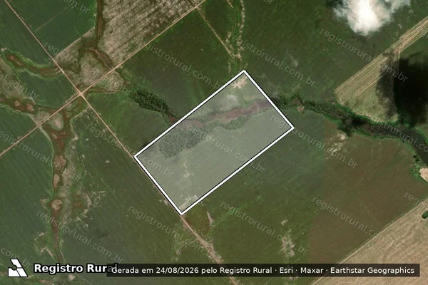 Imagem de satélite de LOTE 08 - GLEBA 77-COLÔNIA TAILÂNDIA - Parte 1 em Goianésia do Pará - PA