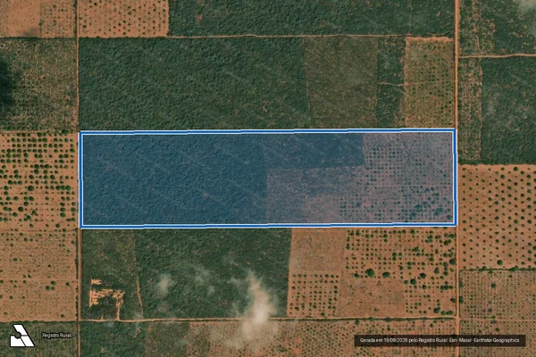 Imagem de satélite de Projeto de Assentamento Planalto do Mel ? Lote 38 - Parte 1 em Porto do Mangue - RN