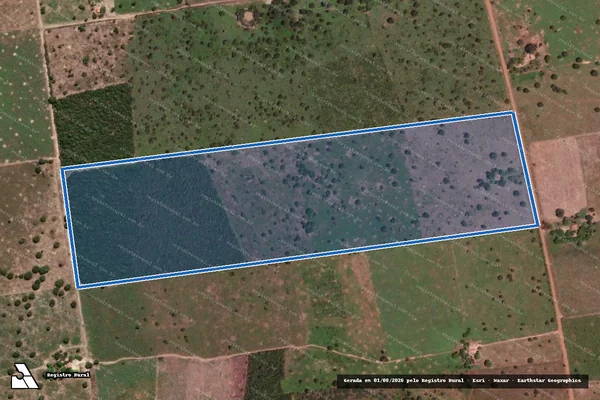 Imagem de satélite de Lote : 790 - PA.Angical - 790 em Angical - BA