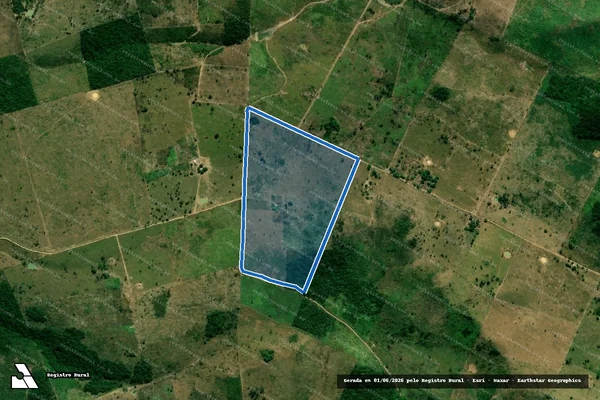 Imagem de satélite de P.A ROSELY NUNES /CHÁCARA PARAÍSO / LOTE 45 - PARCELA 01 em Bom Jesus das Selvas - MA
