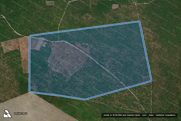 Imagem de satélite de FAZENDA SALETE - PARTE 1 em Buriti - MA