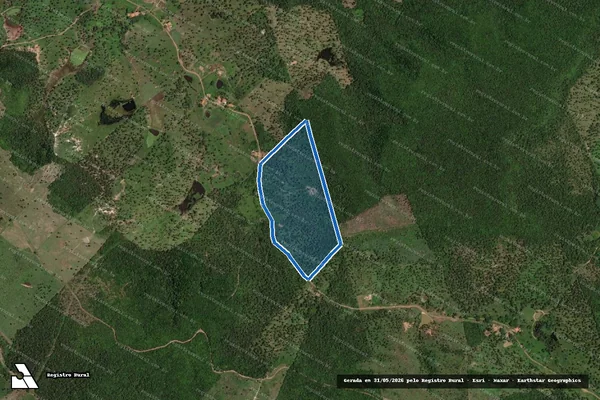 Imagem de satélite de FAZENDA SILVESTRE - PARCELA 02 em Capinzal do Norte - MA