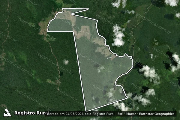 Imagem de satélite de Fazenda Repartimento - Parte 1 em Iracema - RR