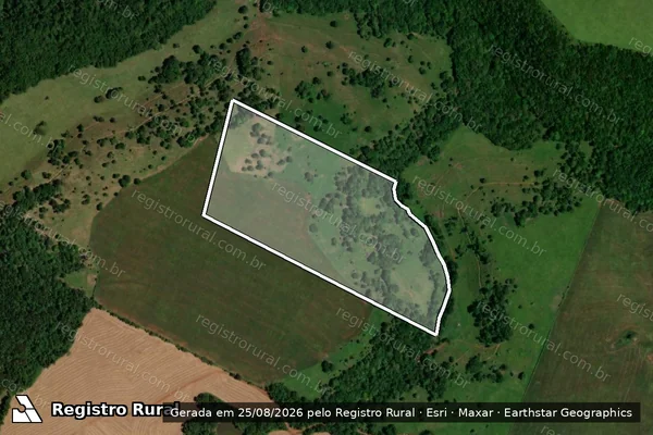Imagem de satélite de LOTE RURAL N° 85 DA GLEBA N° 58-AM - Parcela 1 em Realeza - PR