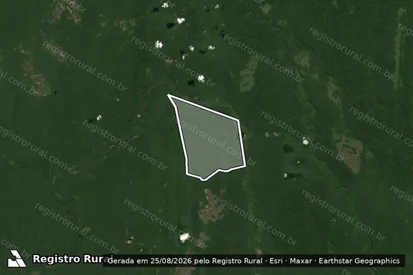 Imagem de satélite de Fazenda Russas - Parte 1 em Novo Aripuanã - AM