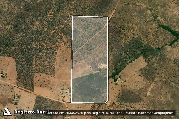 Imagem de satélite de LOTE ? 24 -  PA PALMEIRA GADO BRAVO - Gleba 24 em Buritis - MG