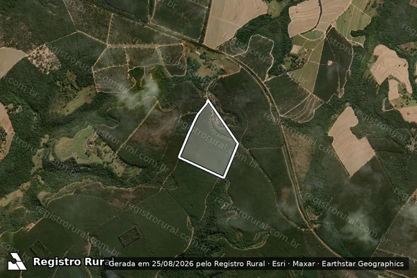 Imagem de satélite de Fazenda Cara Preta - Matricula 1346 A em São Simão - SP