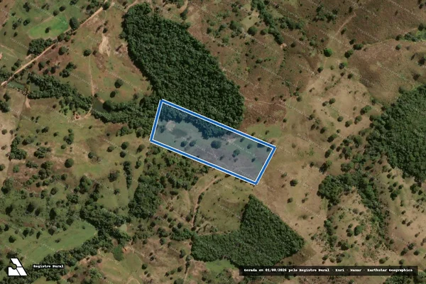 Imagem de satélite de FAZENDA VERTENTE RICA - 001 em Rubiataba - GO