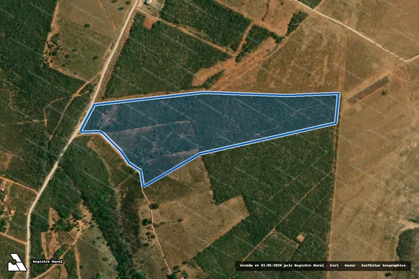 Imagem de satélite de FAZENDA MOREIRA - Gleba 02 em Correntina - BA