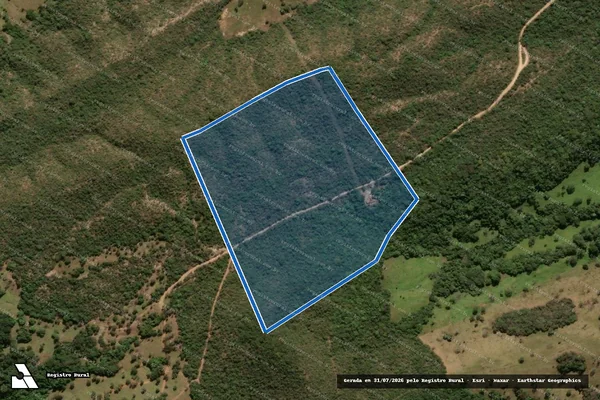 Imagem de satélite de FAZENDA SANTO ANTONIO DO RIO DO PEIXE - 001 em Pirenópolis - GO