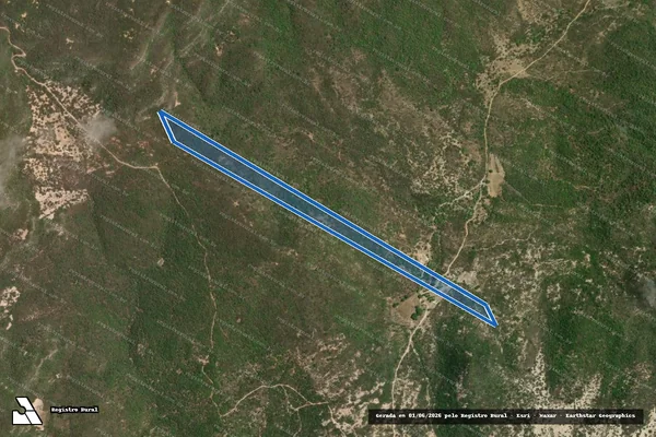 Imagem de satélite de FAZENDA MACACOS - Sítio Macacos (Parcela 46) em Betânia - PE