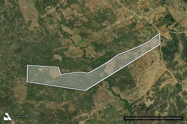 Imagem de satélite de Pinheiras e Gatos - PARTE 1 em São Domingos - PB