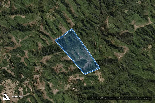 Imagem de satélite de Fazenda Vale do Cambau - FAZENDA VALE DO CAMBAU em Delfim Moreira - MG