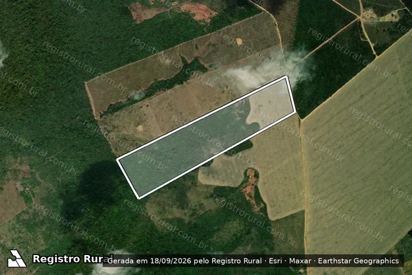 Imagem de satélite de P.A NASCENTE DO RIO AZUL/FAZENDA SAO PEDRO/LOTE 44 / Parcela 1